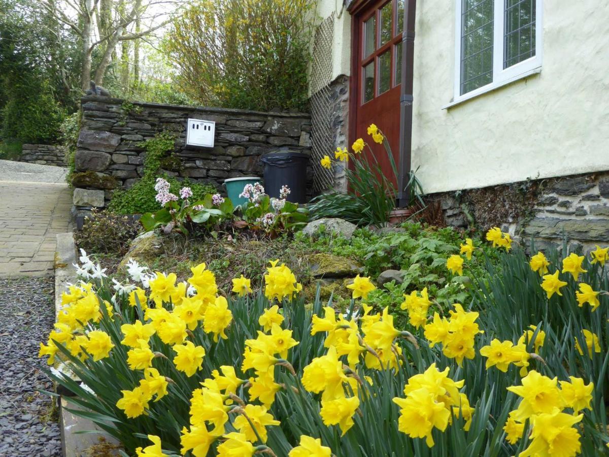Hafannedd Villa Corwen Bagian luar foto